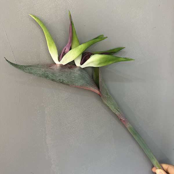 Paradisfågelblomma Enkel Stjälk Konstgjord Blomma Heminredning Mjukt Gummi Simulationsblomma green