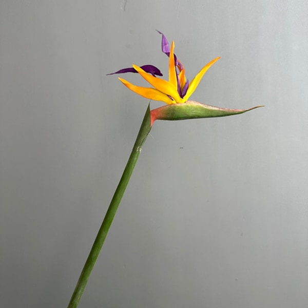 Stor, høykvalitets kunstig paradisfuglblomst for hjemmeinnredning og bryllupsrekvisitter Soft gel bird of paradise orange