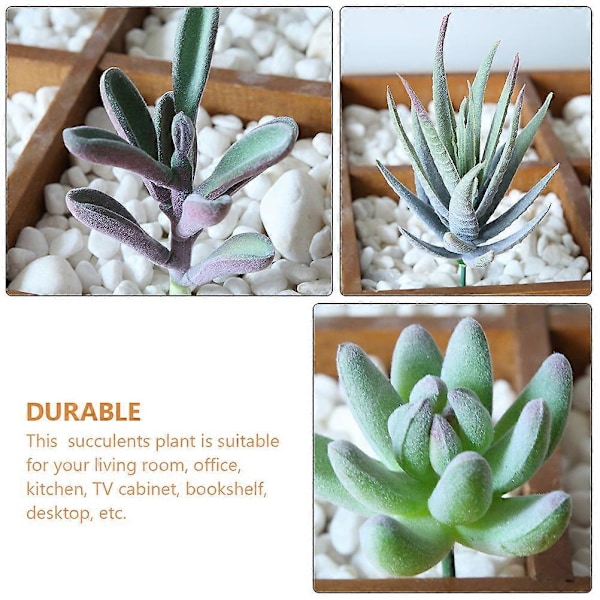 8 stk. Kunstige sukkulentplanter Dekor Falske sukkulentplanter Blomsterarrangementrekvisita