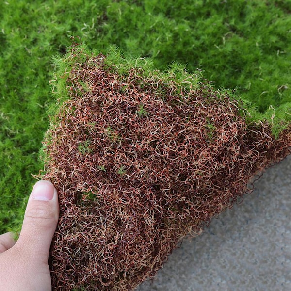 Junamaiseman Asettelu Keinotekoinen Kasvimatto Simulaatio Sammal Maisema Malli Kodin Sisustus DIY Matches the image 20x20cm