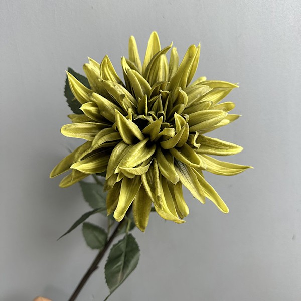 Högkvalitativ PU Dahlia Simulation, Höst Retro Floral Rekvisita, Fyllig Chrysanthemum PU Touch Blomma PU Dahlia Autumn Coffee