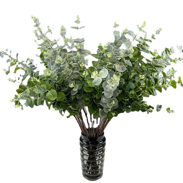 3D-tulostettu 16-lehtinen eukalyptusrahapuu kodin sisustukseen Bundle of 16 money leaves dark green