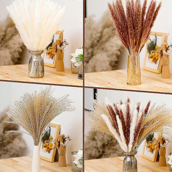 65 stk. Naturlig Tørket Pampasgress, pampas for Boho-arrangementer Bryllup Hjemmeinnredning, blomsterarrangement