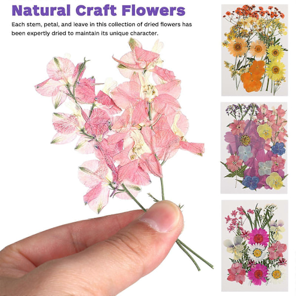 55 stk. Tørkede Blomster DIY Pressede Blomster Tørkede Planter Håndverk Tørkede Blomster For Scrapbooking Smykkefremstilling