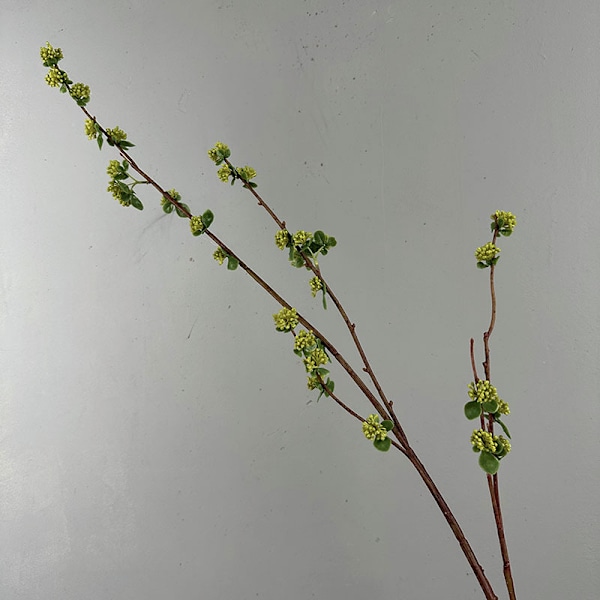 Lång Gren Röd Böna Frukt Simulation Kvistar Konstgjorda Blomstjälkar Blomsterarrangemang Fotografi Rekvisita Long branch adzuki bean fruit 130cm