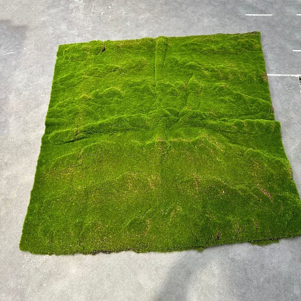 Kunstig Mos Fake Mos Baggrund Plante Vægdekoration Grøn Flocking Græstørv New Brown Silk Moss F03
