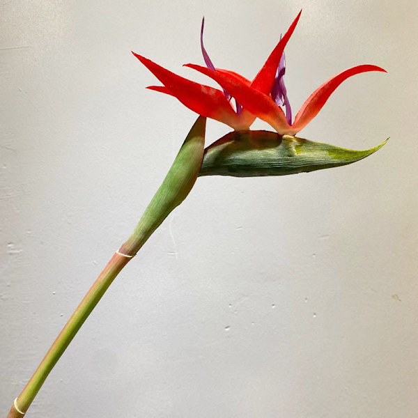 Paradisfågelblomma Enkel Stjälk Konstgjord Blomma Heminredning Mjukt Gummi Simulationsblomma red