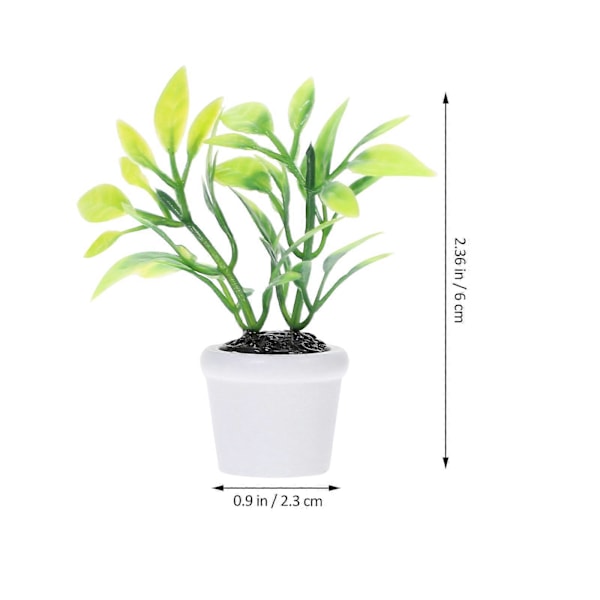 Miniatureplanter Små Potteplanter Stueplanter Indendørs Levende Blomsterplanter Grøn Indretning