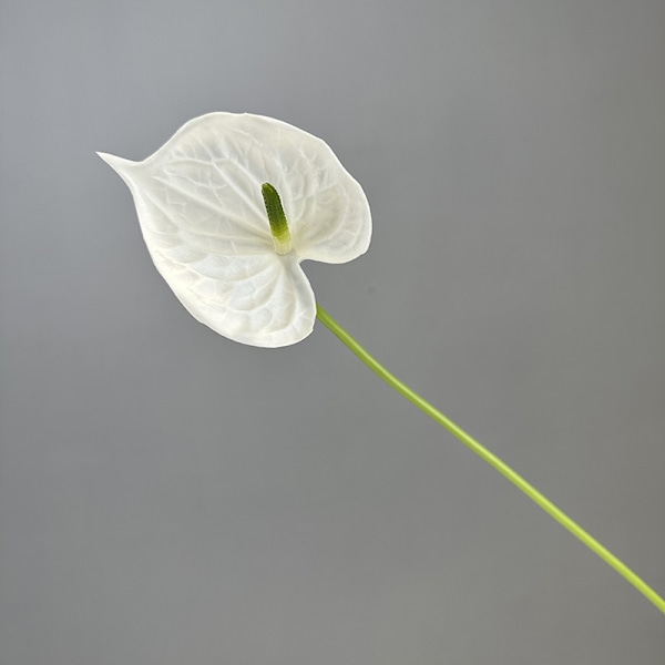 3D Röd Anthurium PU Känsla Konstgjord Blomma för Bröllop Heminredning Dark green with white edges