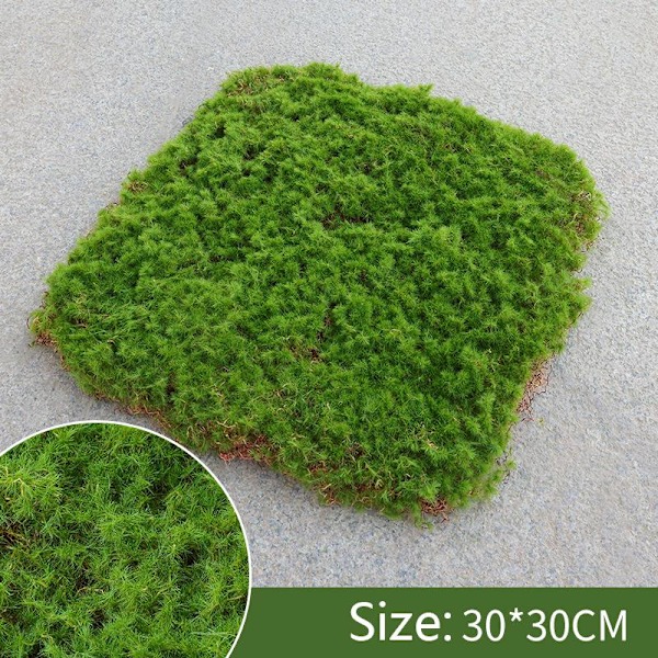 Toglandskap Layout Kunstig Plante Matte Simulering Mose Landskapsmodell Hjem Dekor DIY Matches the image 30x30cm