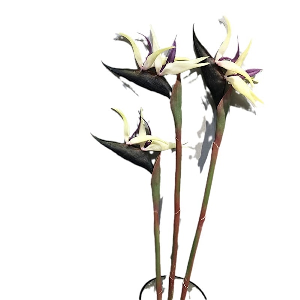 Paradisfågelblomma Enkel Stjälk Konstgjord Blomma Heminredning Mjukt Gummi Simulationsblomma green