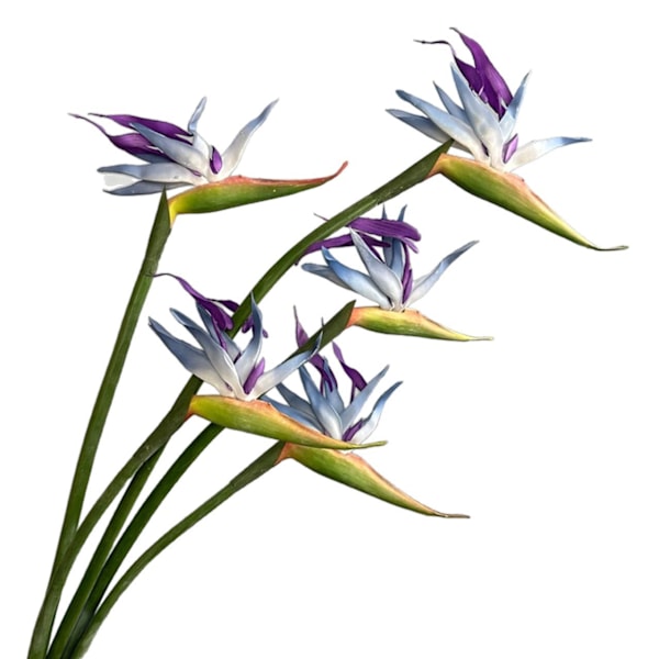 Stor, høykvalitets kunstig paradisfuglblomst for hjemmeinnredning og bryllupsrekvisitter Soft gel bird of paradise orange