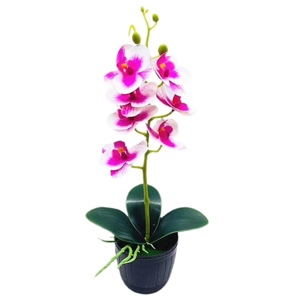 1 Set Konstgjorda Orkidéblommor Kruka Naturligt Utseende Plast Skyltfönster Hylla Imitation Krukväxt Heminredning Purple White