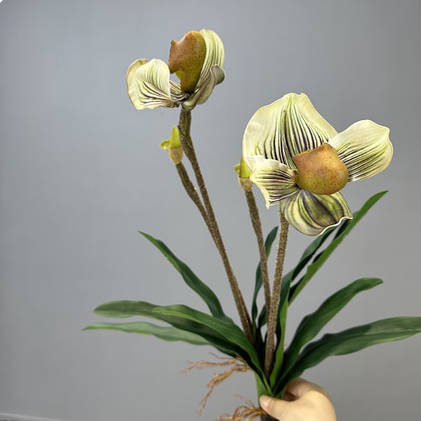 Simulert Paphiopedilum PVC Føles Ekte Kunstig Blomst Hjemmeinnredning 2-Hodet med Blader Orkidé Myk Dekor Green Elf