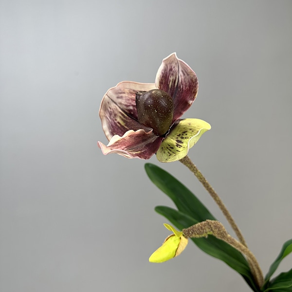 Simulert Paphiopedilum PVC Føles Ekte Kunstig Blomst Hjemmeinnredning 2-Hodet med Blader Orkidé Myk Dekor Red Brown