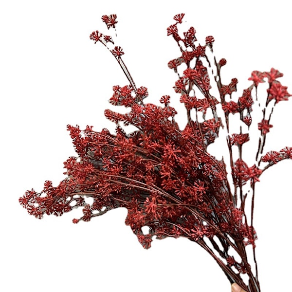 Simuleret 7-delt japansk vild frugt, kunstige plastikblomster til bryllup, boligfotograferingsdekoration, vedbendfrugtgren Milan-frugt Red