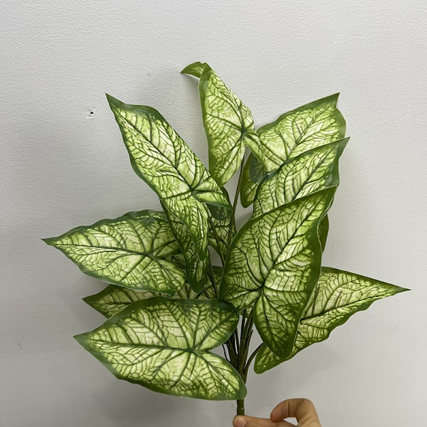 Konstgjorda Växter Grönska Krukväxter Väggdekorationer 12-Pack Taro Blad Calathea 12 taro leaves green