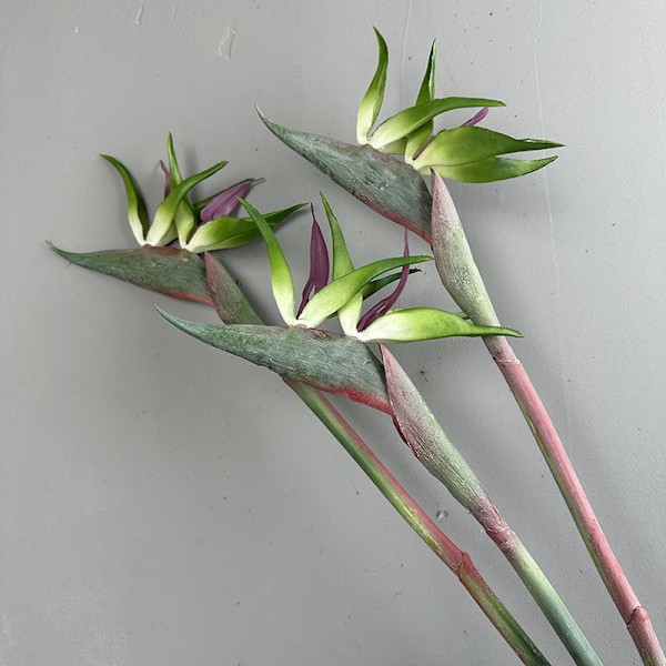 Paradisfågelblomma Enkel Stjälk Konstgjord Blomma Heminredning Mjukt Gummi Simulationsblomma red