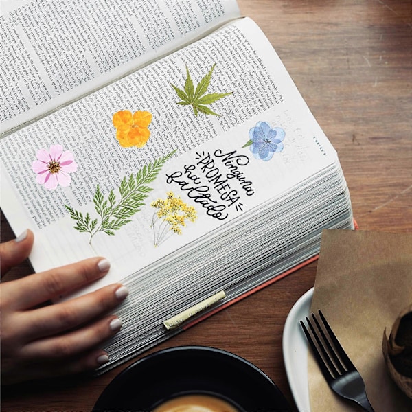 55 stk. Tørrede Blomster DIY Pressede Blomster Tørrede Planter Håndværk Tørrede Blomster Til Scrapbooking Smykkefremstilling