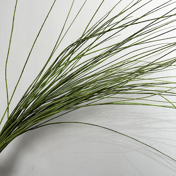 Konstgjorda videkvistar Heminredning Torkade kvistar Grönska Blomsterarrangemang Dragon Willow Green