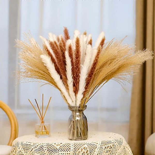 65 stk. Naturlig Tørket Pampasgress, pampas for Boho-arrangementer Bryllup Hjemmeinnredning, blomsterarrangement