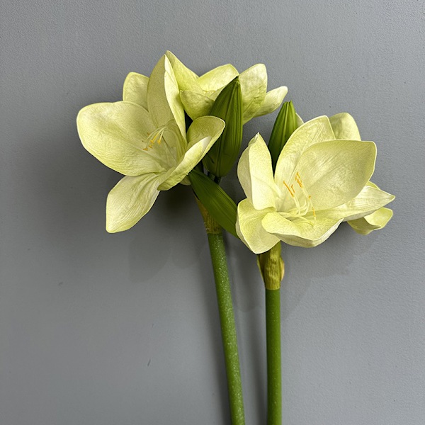 Kunstig Amaryllis PU Touch Kaffir Lily Boligindretning Falsk Blomsterarrangement Red