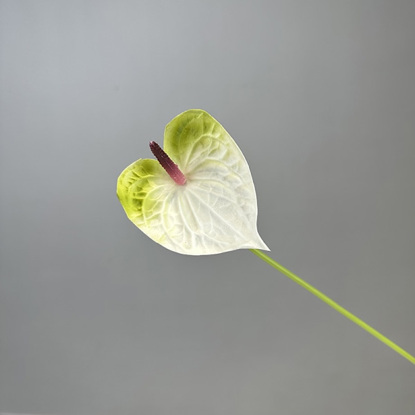 3D Röd Anthurium PU Känsla Konstgjord Blomma för Bröllop Heminredning White Green