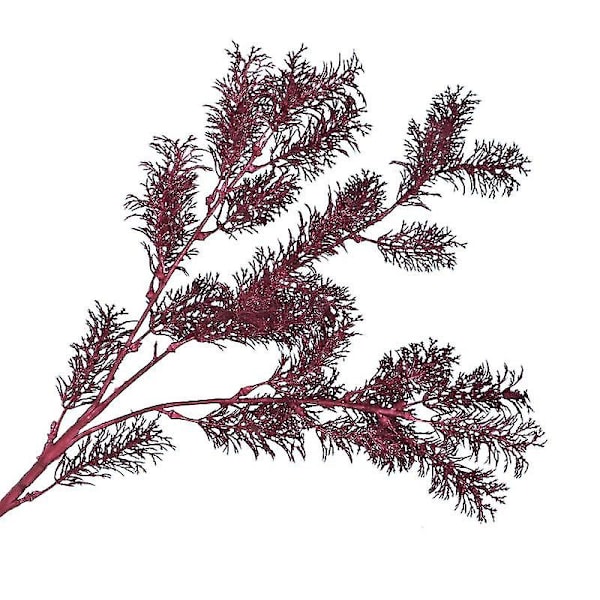 Simulerad Vanilj Bröllopsset Simuleringsväxt Skogsdekoration Projektlayout Falsk Blomma Claret