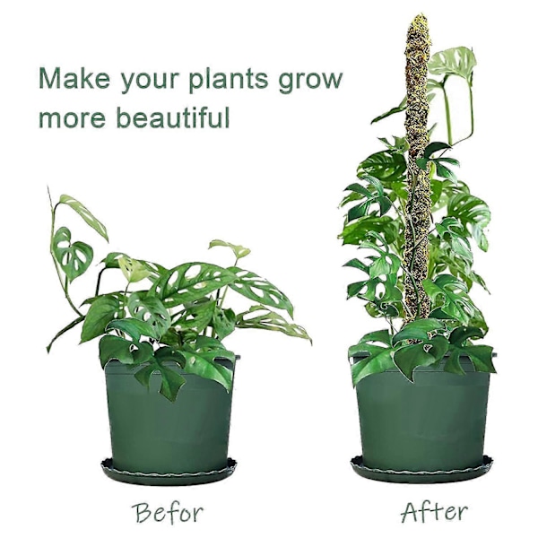 Bøjelig Mosstang, 2 stk. 60 cm Naturlig Mosstang til Planter Monstera, Bøjelig DIY Form, Brug Plan