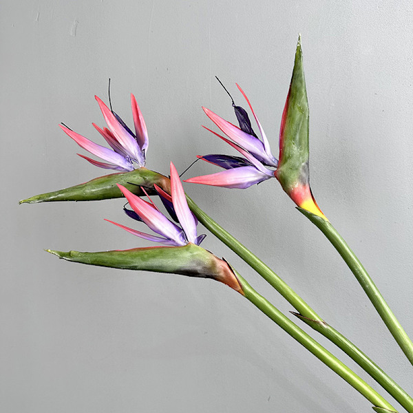 Pehmeäkosketuksinen paratiisilinnun kukka, tekokukat, Strelitzia, kodin sisustus, korkea jäljitelmä, yksittäinen varsi Medium Bird of Paradise White