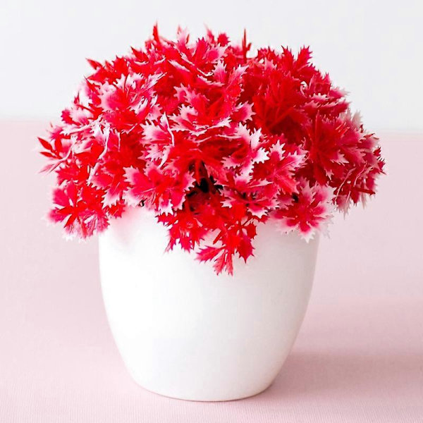 Halv Jasmin Bonsai Simulation Potteplante Boligindretning Kreative Ornamenter Orange