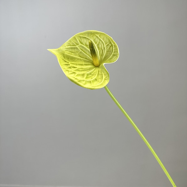3D Röd Anthurium PU Känsla Konstgjord Blomma för Bröllop Heminredning green