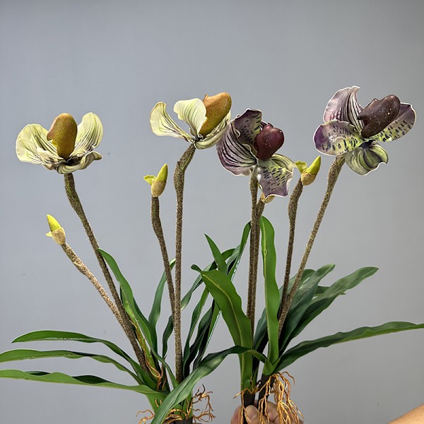 Simulert Paphiopedilum PVC Føles Ekte Kunstig Blomst Hjemmeinnredning 2-Hodet med Blader Orkidé Myk Dekor Green Elf