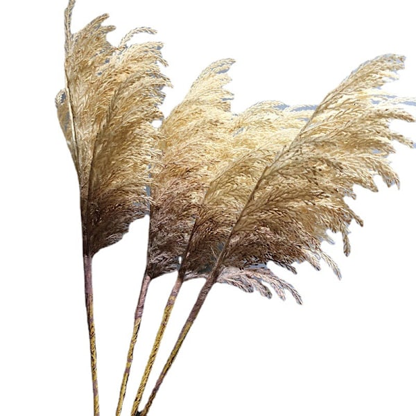 Nordisk stil kunstig trehovedet højt siv til bryllupssalindretning stue blomsterarrangement Beige
