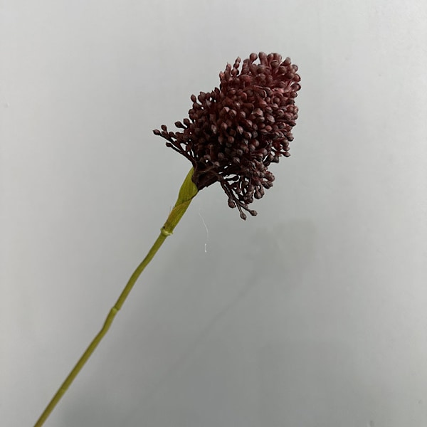 Kunstig enkelt stilk gressløkblomst for forretningsborddekor Plast Løvetann Bryllupsfotografering Sceneoppsett Single scallion flower black and red