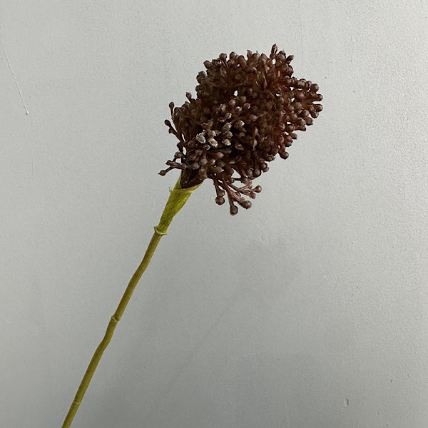 Kunstig enkelt stilk gressløkblomst for forretningsborddekor Plast Løvetann Bryllupsfotografering Sceneoppsett Single Scallion Coffee