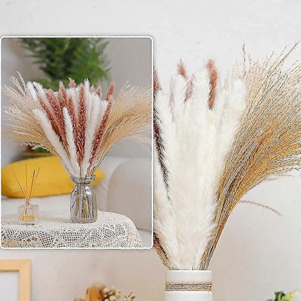 65 stk. Naturlig Tørket Pampasgress, pampas for Boho-arrangementer Bryllup Hjemmeinnredning, blomsterarrangement