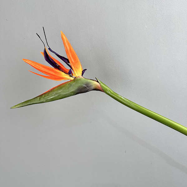 Pehmeäkosketuksinen paratiisilinnun kukka, tekokukat, Strelitzia, kodin sisustus, korkea jäljitelmä, yksittäinen varsi Medium Bird of Paradise Orange