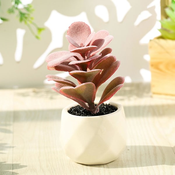 Kunstig Bonsaiplante med Blomsterpotte, Klar Farge, Krever Ingen Vedlikehold, Sukkulentplante 3