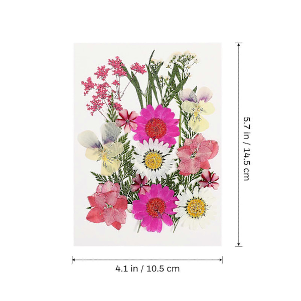 55 stk. Tørrede Blomster DIY Pressede Blomster Tørrede Planter Håndværk Tørrede Blomster Til Scrapbooking Smykkefremstilling