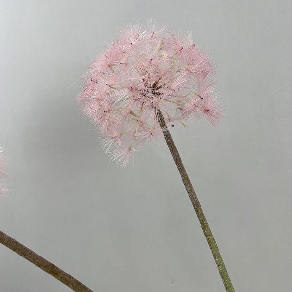 Simuleret hvid mælkebøtte enkelt stilk, lille/mellem/stor falsk urteplante pink