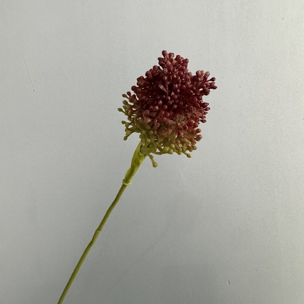 Kunstig enkelt stilk gressløkblomst for forretningsborddekor Plast Løvetann Bryllupsfotografering Sceneoppsett Single scallion rose red