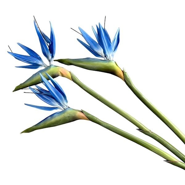 Pehmeäkosketuksinen paratiisilinnun kukka, tekokukat, Strelitzia, kodin sisustus, korkea jäljitelmä, yksittäinen varsi Medium Bird of Paradise White