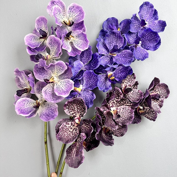 Hääkosketeltava orkidea kodin sisustus valokuvaus rekvisiitta tekokukka 7-head Vanda blue white E17