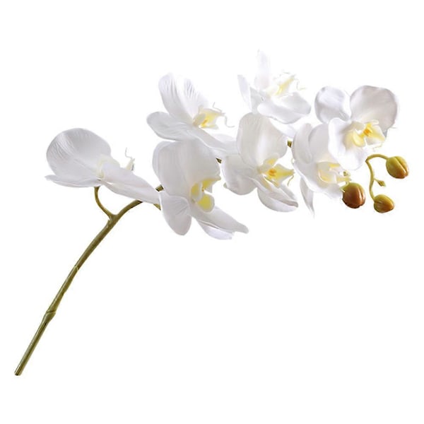 Realistinen keinotekoinen Phalaenopsis -orkidean varsi, tekokukat pöydälle