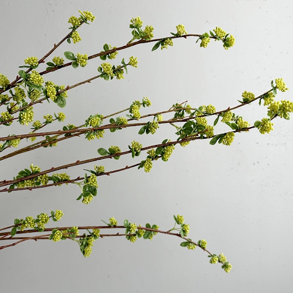 Lång Gren Röd Böna Frukt Simulation Kvistar Konstgjorda Blomstjälkar Blomsterarrangemang Fotografi Rekvisita Long branch adzuki bean fruit 130cm