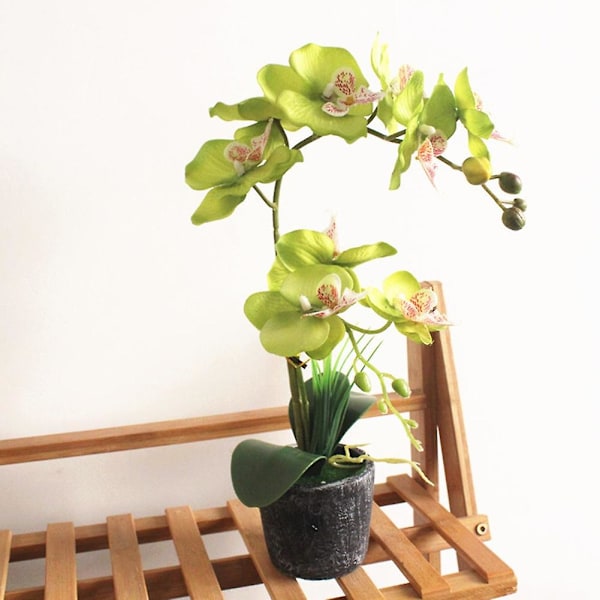 Kunstig Phalaenopsis Blomst Falsk Plante Bonsai Hjemmekontor Butik Cafe Indretning Green