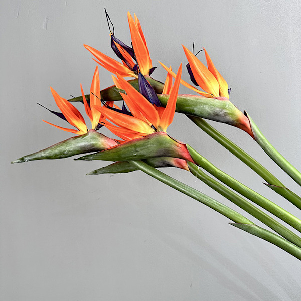 Pehmeäkosketuksinen paratiisilinnun kukka, tekokukat, Strelitzia, kodin sisustus, korkea jäljitelmä, yksittäinen varsi Medium Bird of Paradise Orange