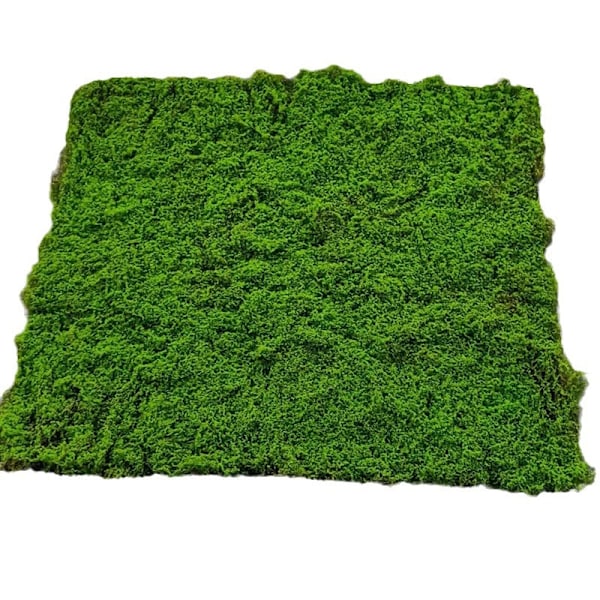 Kunstig Mos Fake Mos Baggrund Plante Vægdekoration Grøn Flocking Græstørv New Brown Silk Moss F03