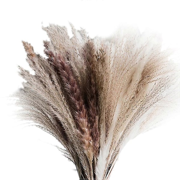 70 stk. Pampas Græs Buket - Boho Efterårsindretning - Naturligt Tørret Pampas Græs - Fluffy Pampas Græs De